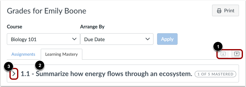 Expand Outcomes Overview