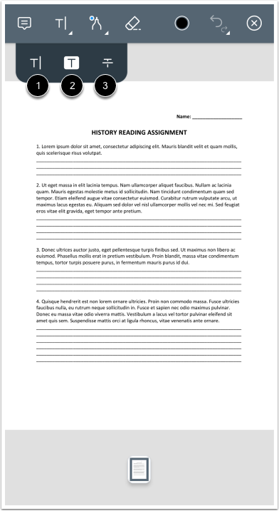 Use Text Format Options