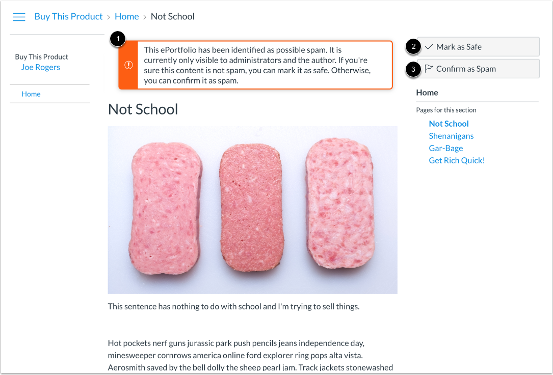 View Flagged ePortfolio