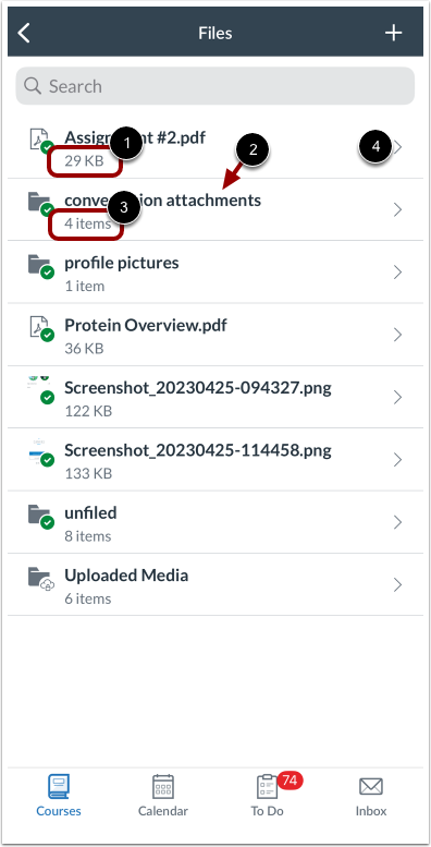 View User Files