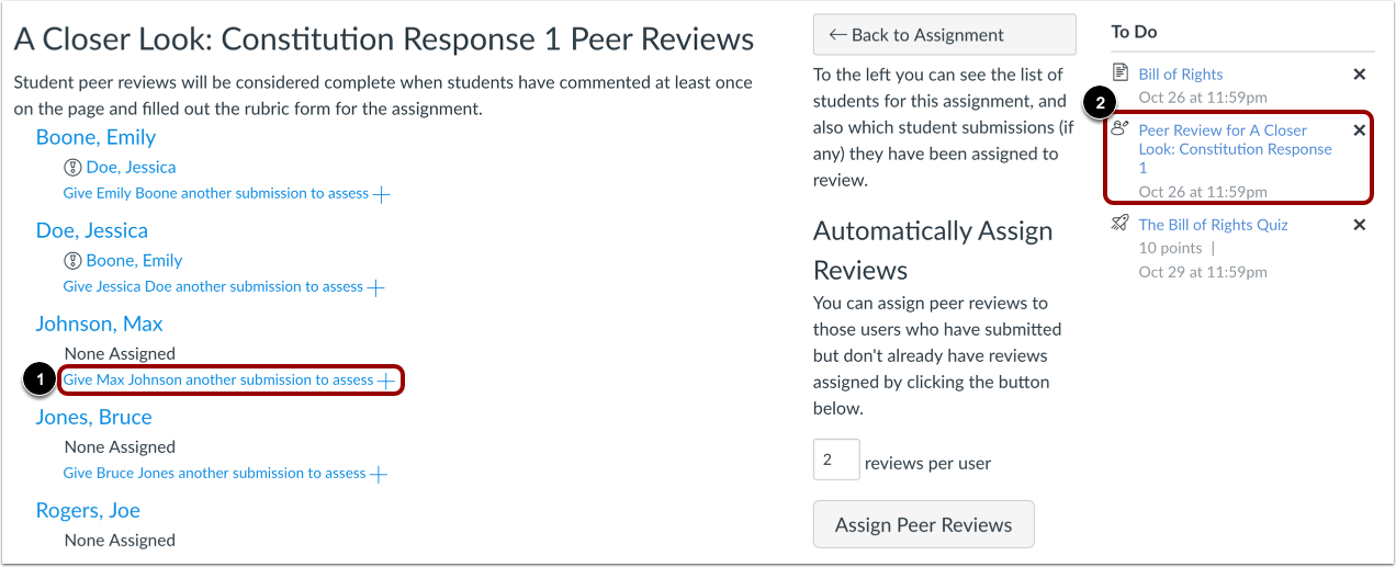 View Peer Reveiw Assignments