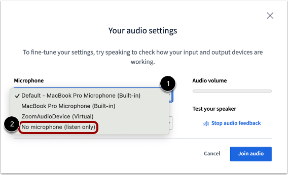 To adjust your audio settings, click the Microphone dropdown.