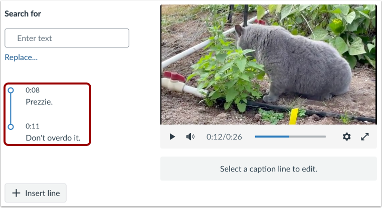 View All Caption Lines