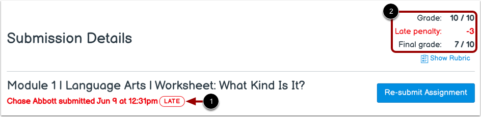 View Late Submission