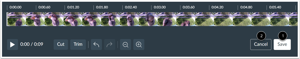 Save or Discard Media