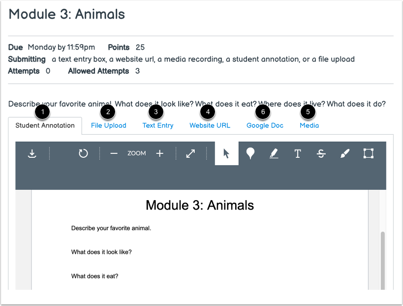 Select Submission Type