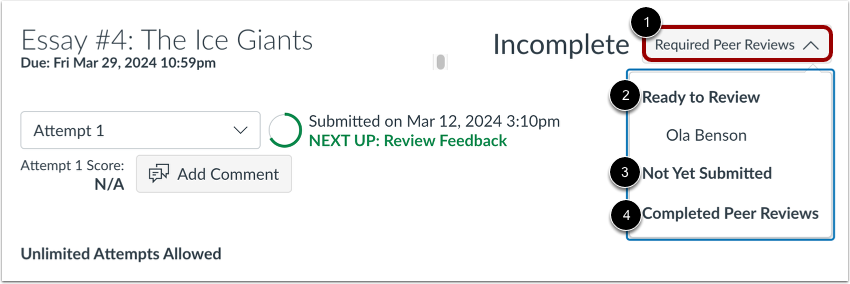 View Assignment Peer Reviews