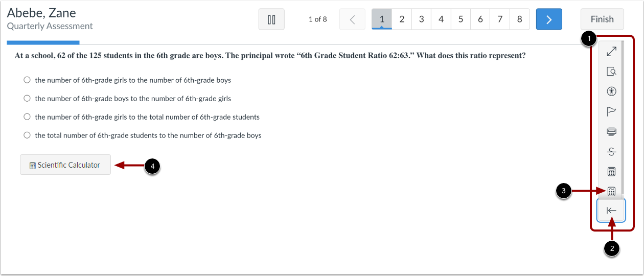 View Student Assessment