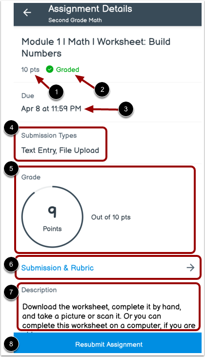 View Assignment Details