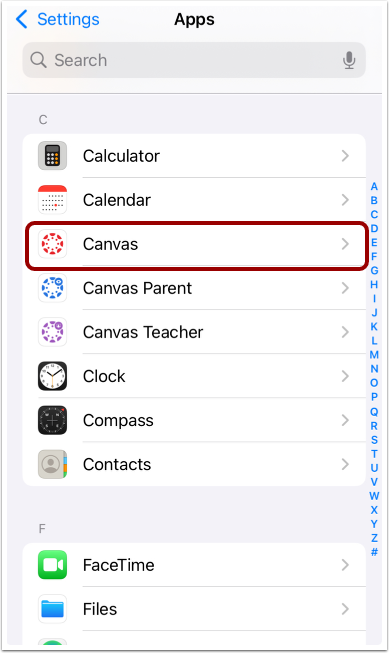 Open Canvas App Settings
