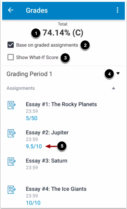 View Course Grades