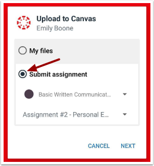 Select Submit Assignment