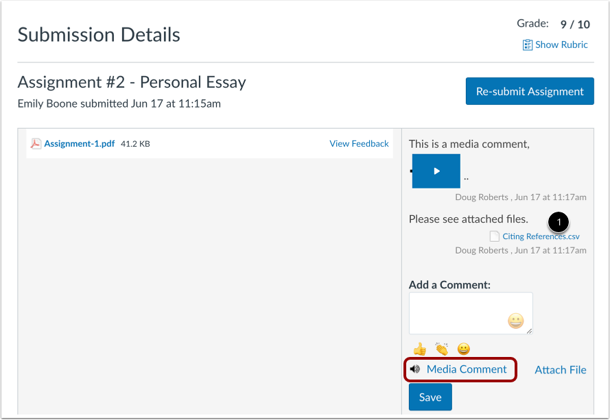 View Annotated Comments