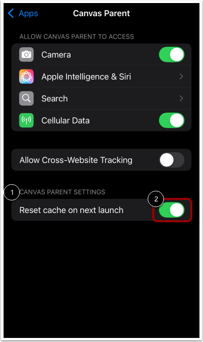 Reset Cache on Next Launch