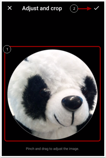 Adjust and Crop Photo