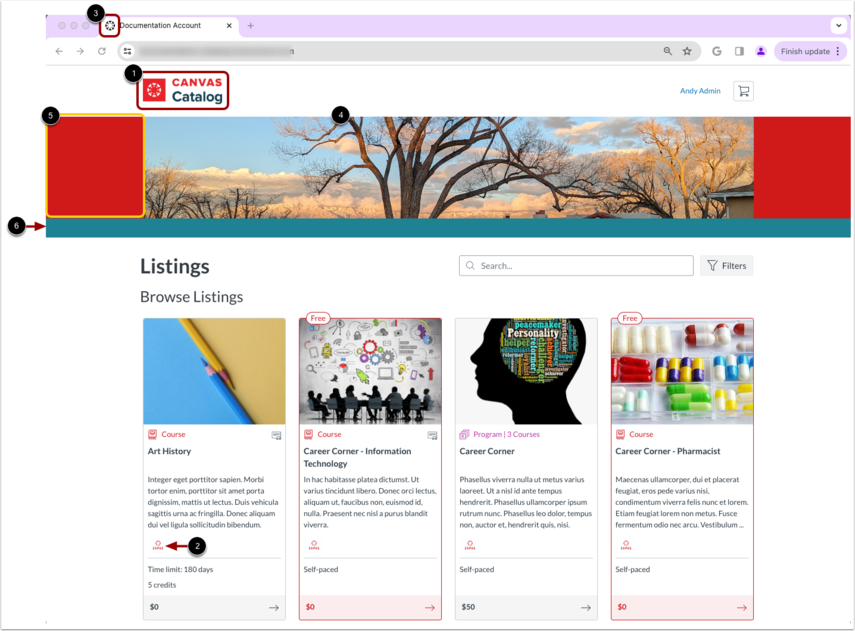 Catalog Display Using Html What customization options are available in Canvas Catalog using the ...