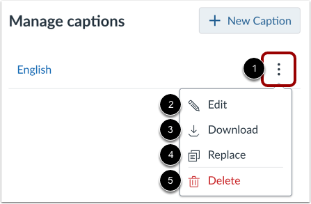 View Caption Options