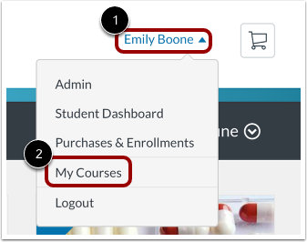 Open Canvas from Catalog