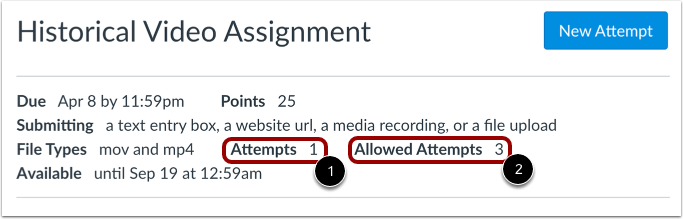 Student View of Allowed Attempts