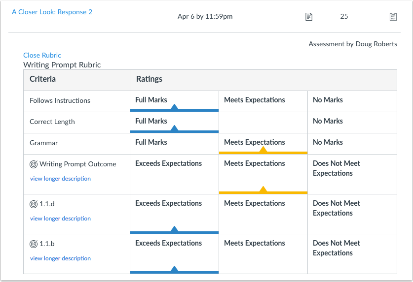 View Non-Scoring Rubric Results
