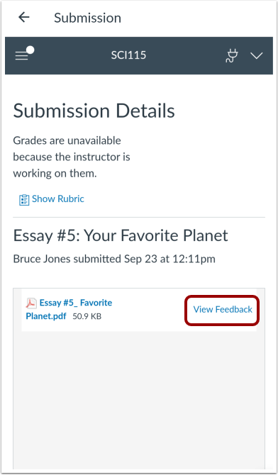 View Feedback in Assignment Enhancements