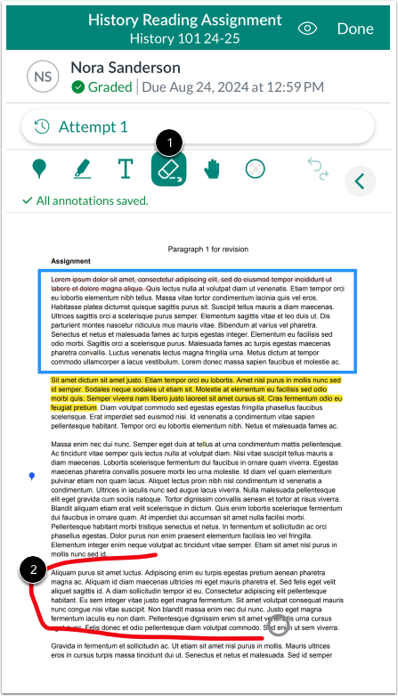 Erase Draw Annotation