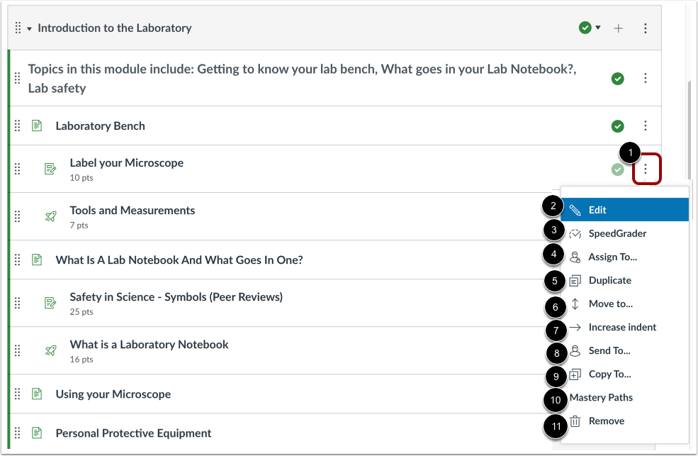 Manage Individual Module Item