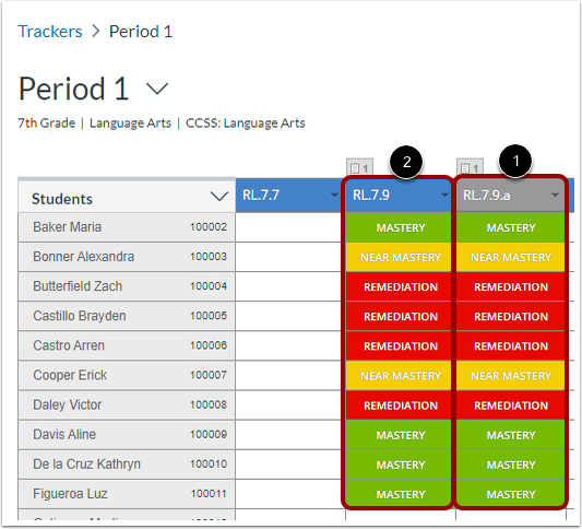 View Sub-Standard Mastery