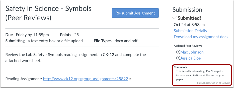 View Assignment Page