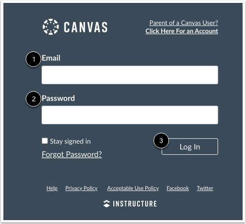 Log into Canvas