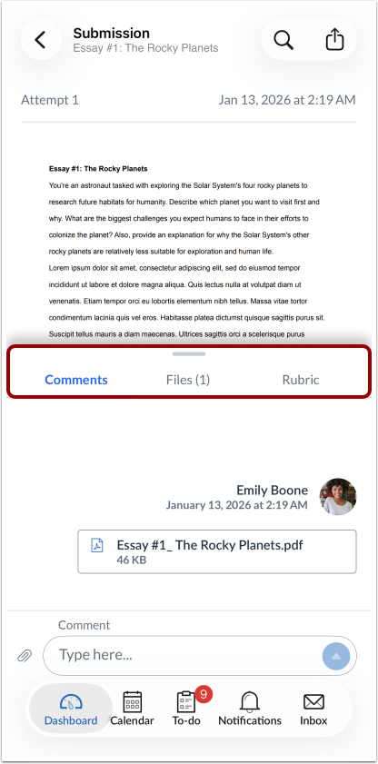How do I make a comment about an assignment in the Canvas app on my iOS ...