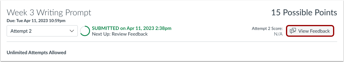 View Submission Details Page