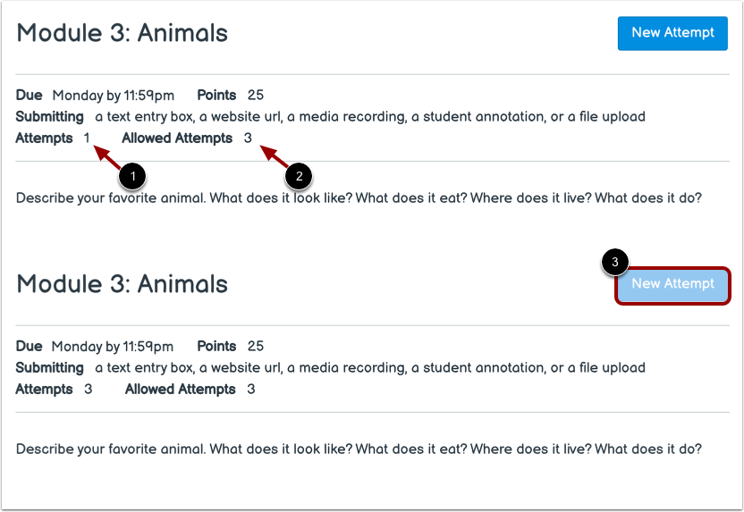 View Submission Attempts