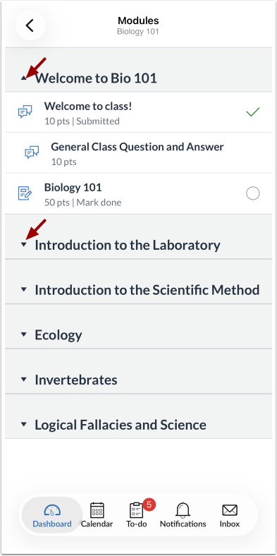 How do I view Modules in the Canvas app on my iOS device? - Instructure ...