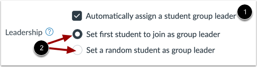Automatically Assign Leader