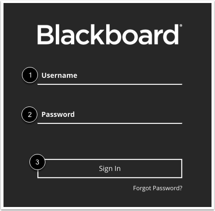 Sign into Blackboard