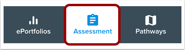 Open Assessment