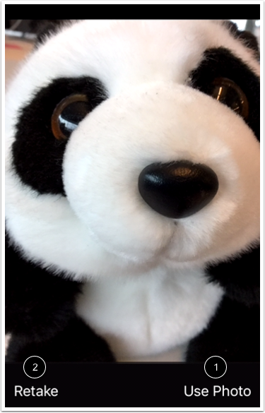 Confirm Photo or Video