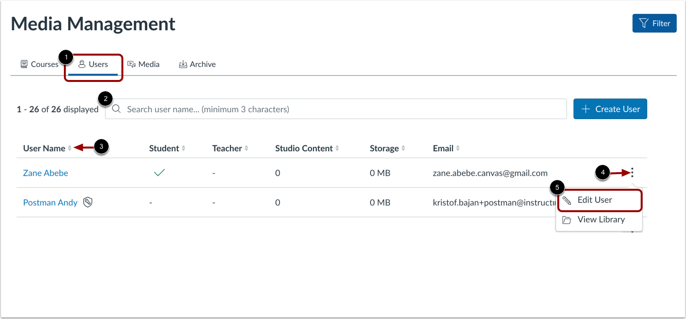 View Course-level User Roles