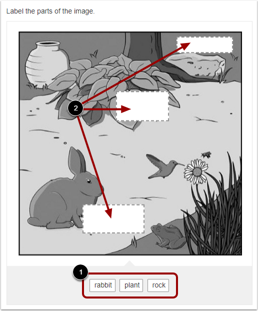 Label Image Drag and Drop