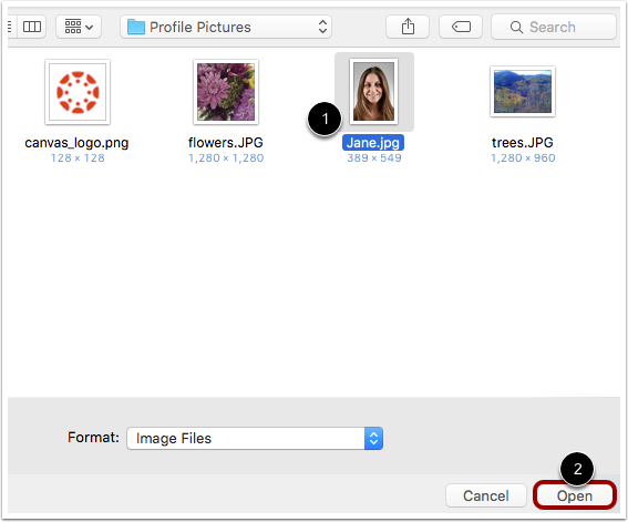 Choose Profile Picture
