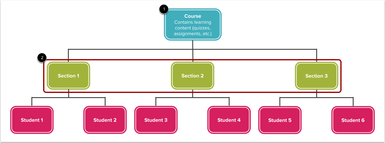View Courses and Sections