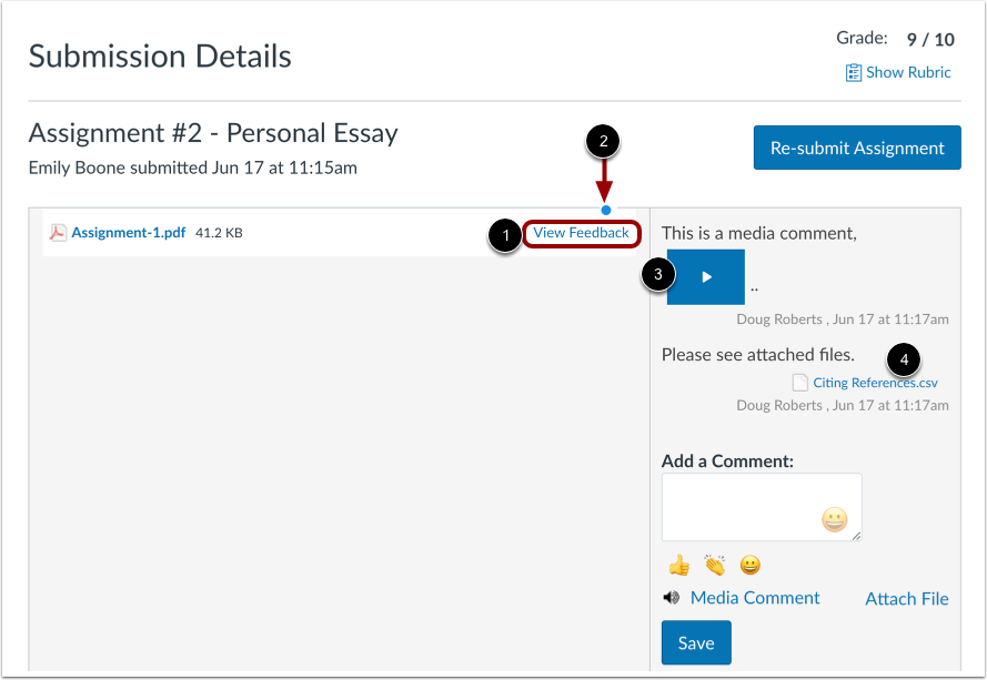 View Annotated Comments