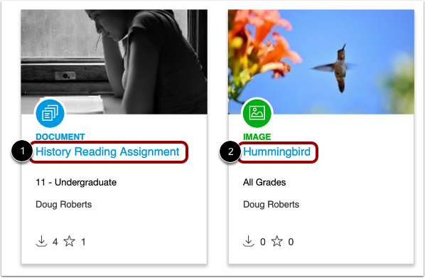 Open Document or Image