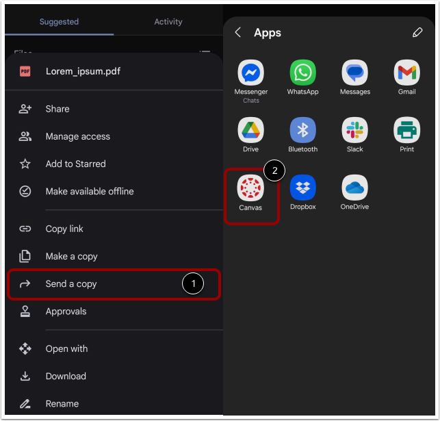 Send a Copy to Canvas
