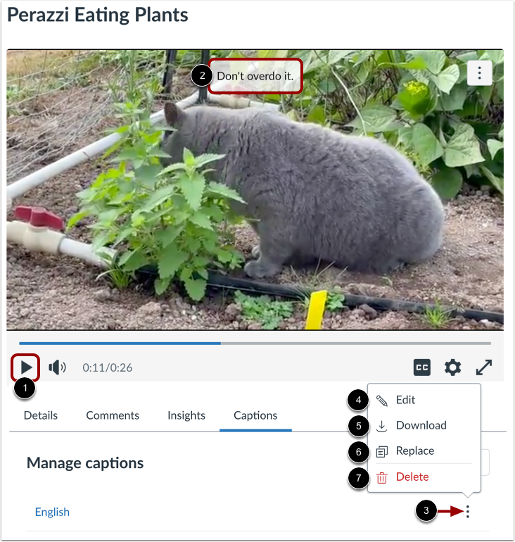 View and Manage Published Captions