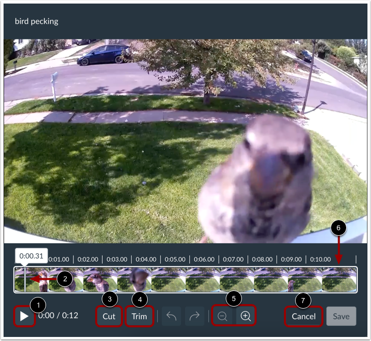 View Media Editor Options