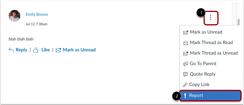 Report Discussion Reply