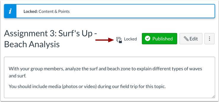 View Locked Assignment Instuctor View