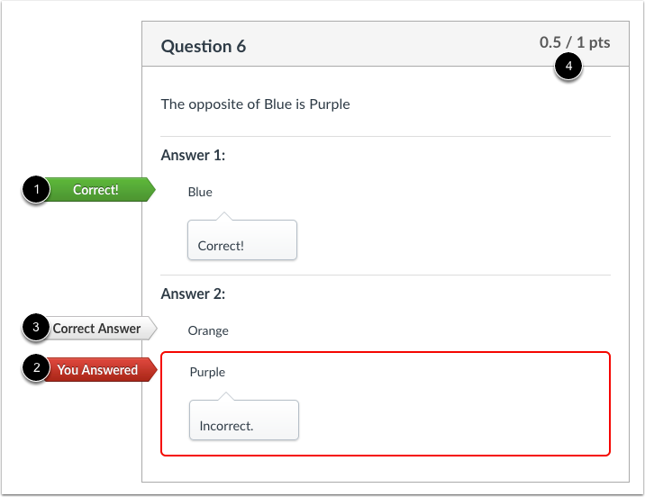 Student View for Multiple Dropdowns Feedback
